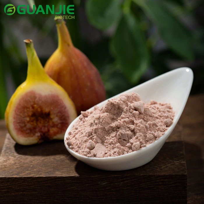 Freeze Dried Fig Fruit Powder Freeze Dried Fig Fruit Powder