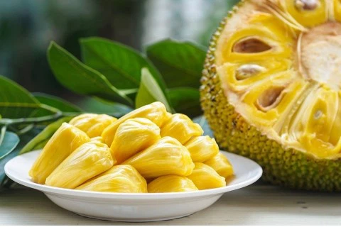 Bulk Dry Jackfruit Powder Bulk Dry Jackfruit Powder