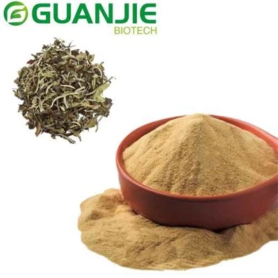 Bột trà trắng